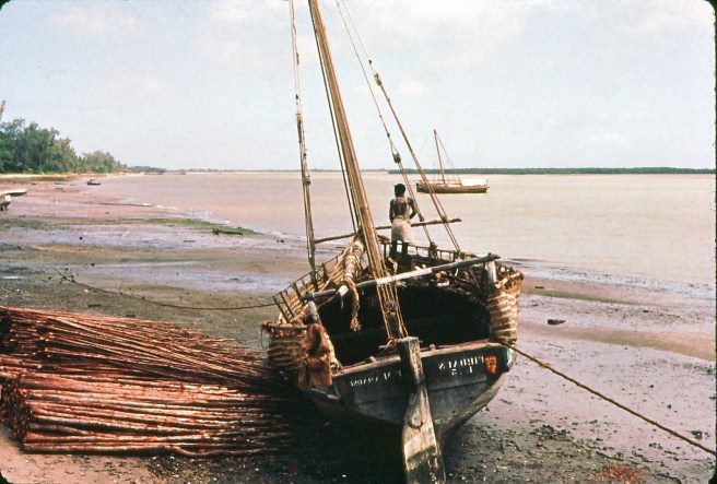 3-06-2008 12-06-02 p.m._0155